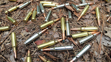 10 Best Modern Hunting Cartridges