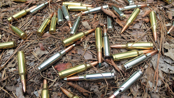 10 Best Modern Hunting Cartridges