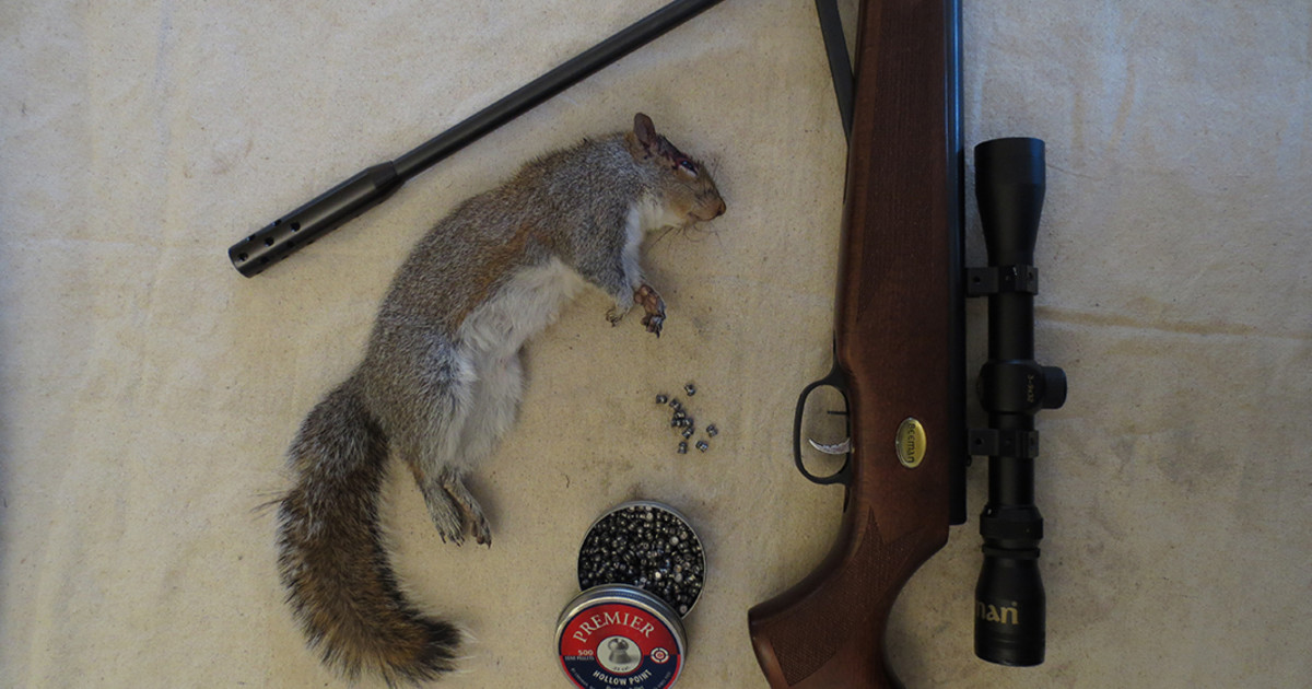 Air Rifles for Small Game Hunting | MeatEater Gear