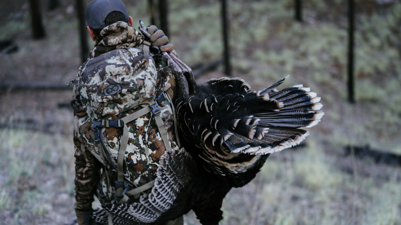 How to Kill Your First Gobbler