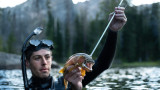 One Man’s Quest to Spear and Eat Alpine Trout