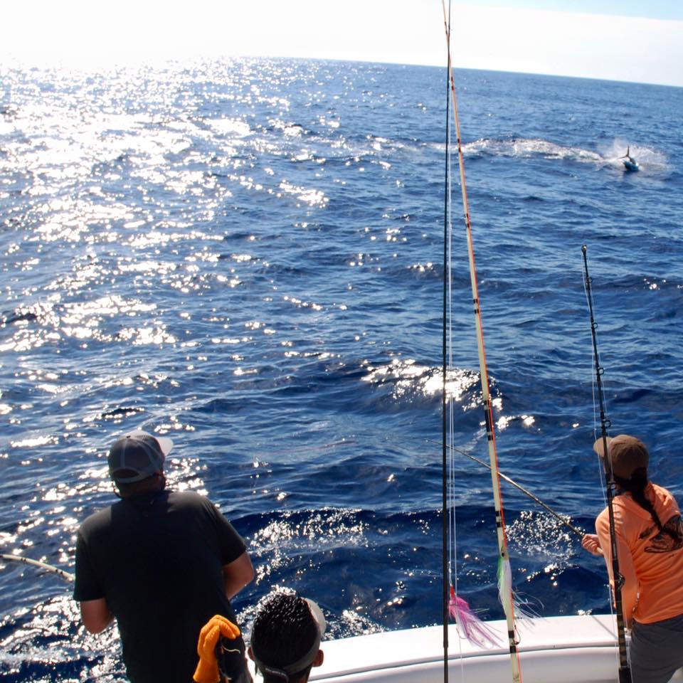 Fly Fishing for Billfish: The King of the Ocean