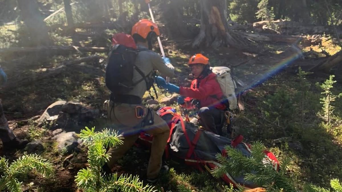 Montana Man Has Lower Jaw Torn Off In Gruesome Grizzly Attack