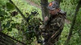 How to Call in Early Season Bucks 