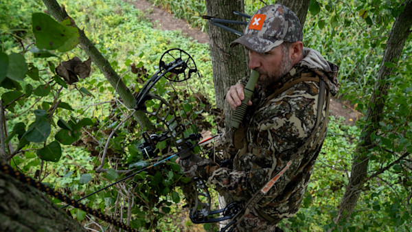 How to Call in Early Season Bucks 