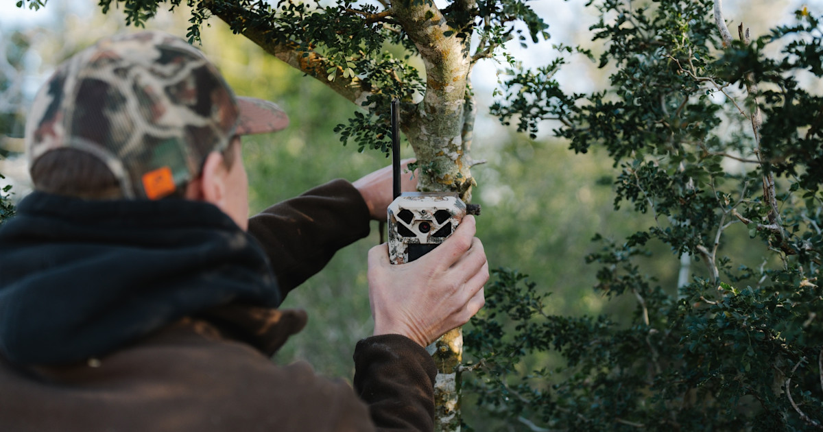 3 Ways Mature Buck Hunters Sabotage Their Season Before It Starts 3 Ways Mature Buck Hunters Sabotage Their Season Before It Starts