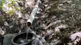 Illegal Cannabis Op Busted for Stealing Water from Famous Steelhead Rivers 