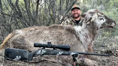 New Mexico Hunter Harvests Extremely Rare Piebald Elk
