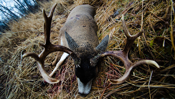 Kodiak December: A Hunt and a Blacktail of a Lifetime