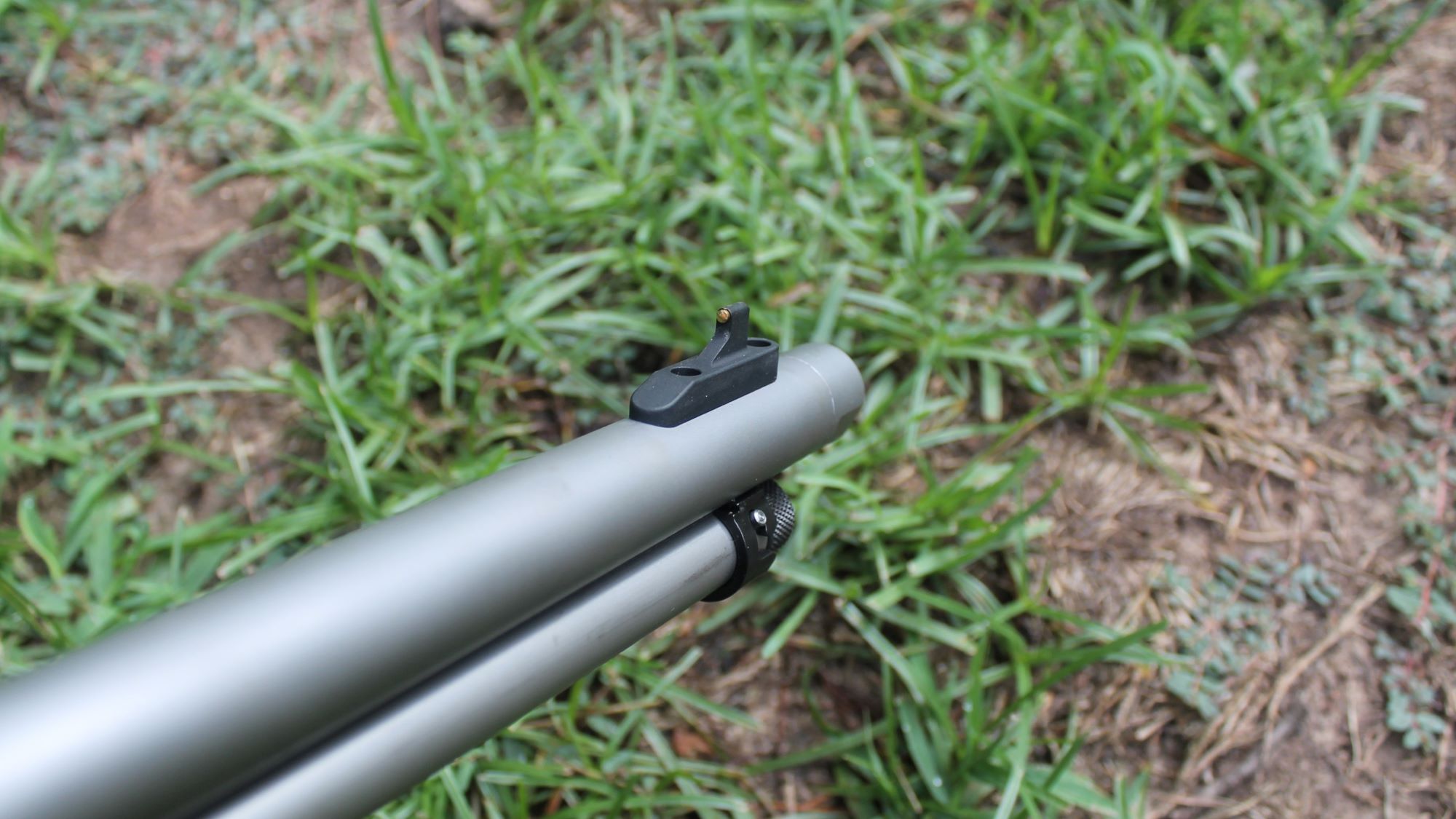 SW Front Sight