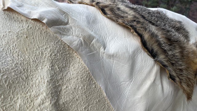 How to Tan a Deer Hide | MeatEater Wild Foods