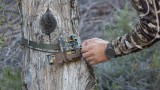 7 Reasons Your Trail Cam Pictures Suck