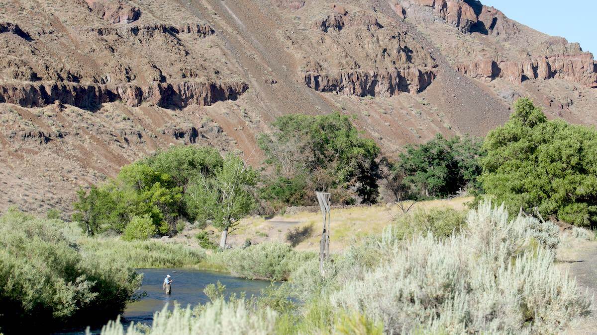 How to Fish a Tailwater