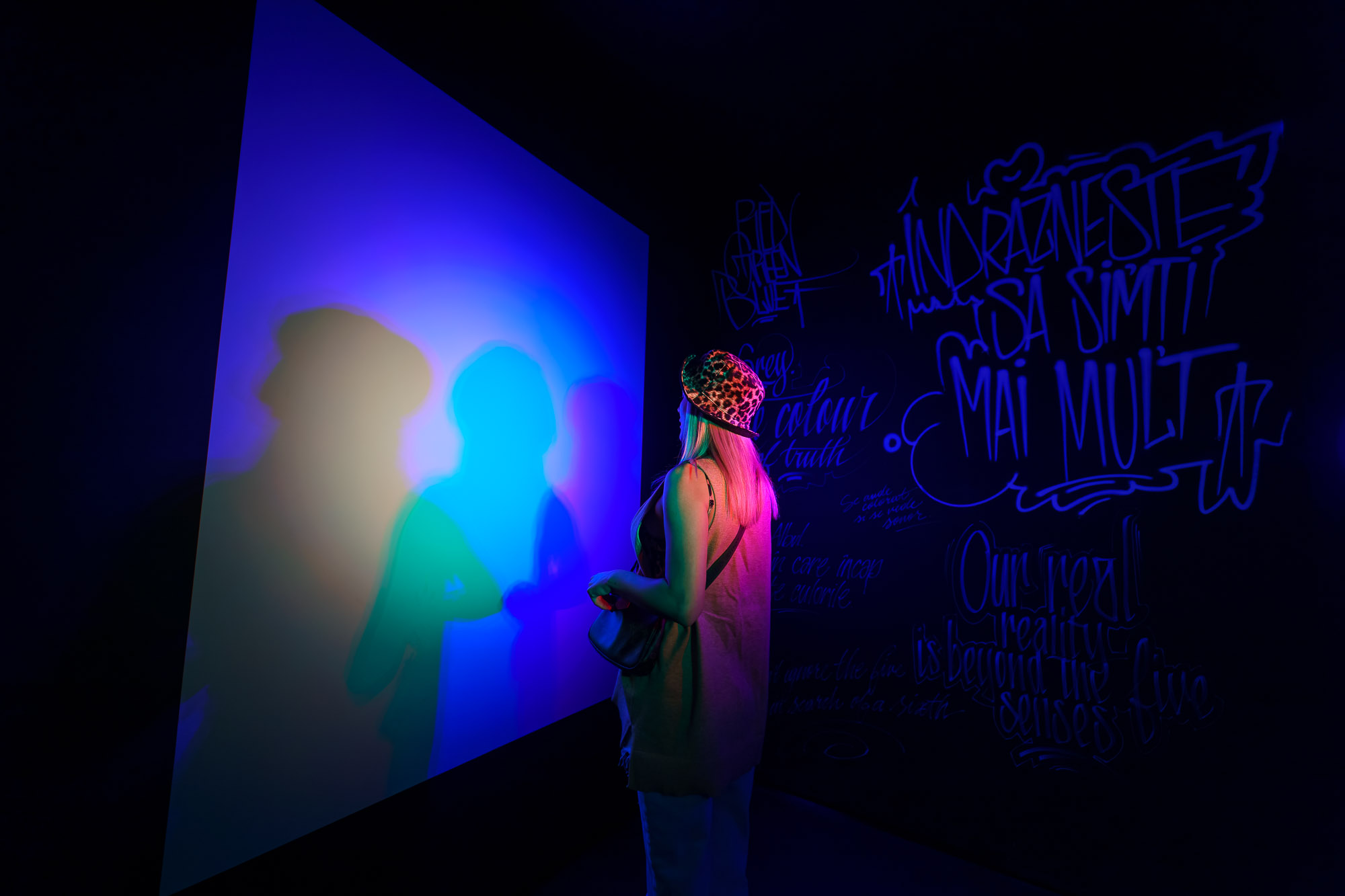 Camera RGB 