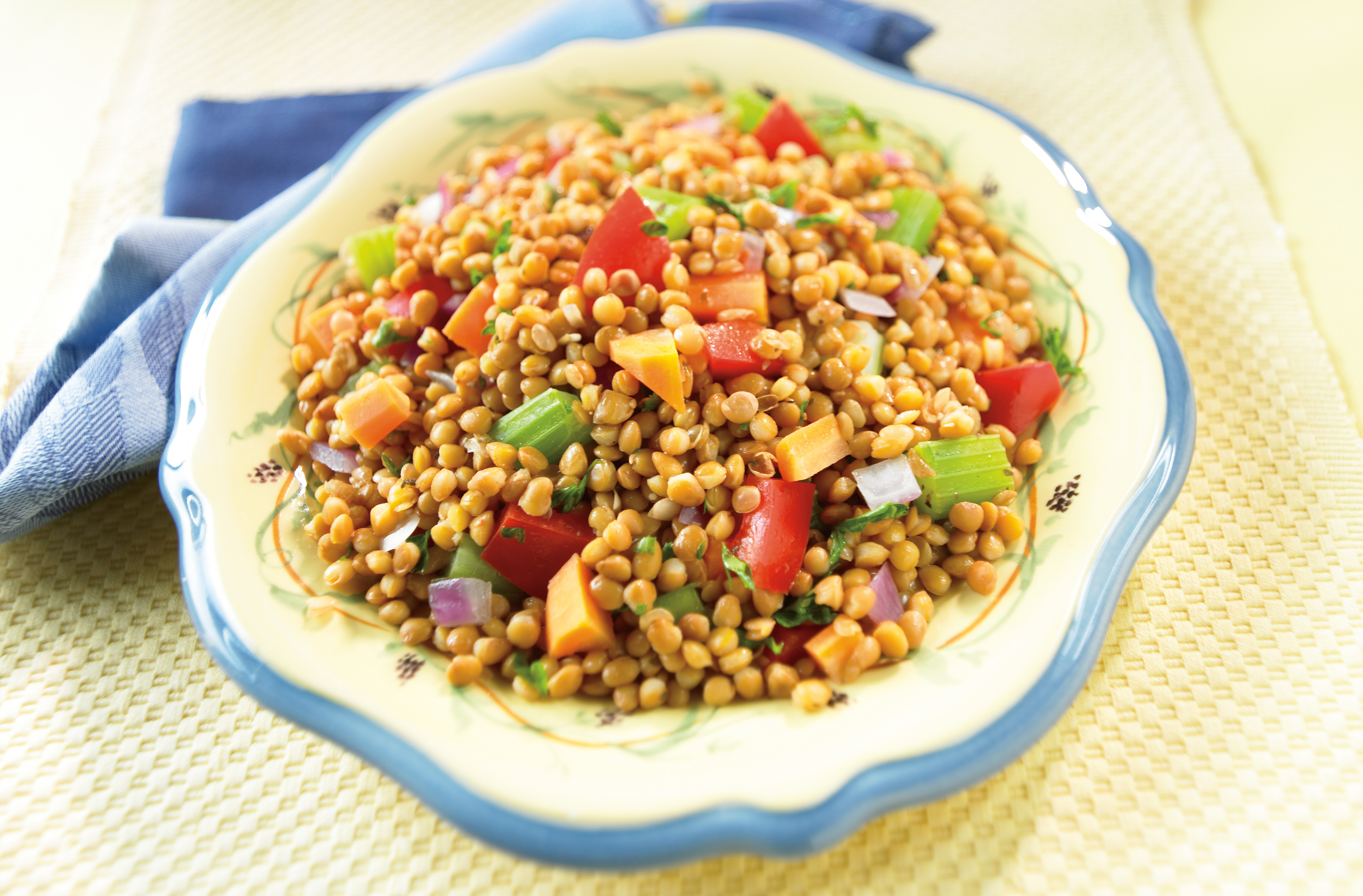 A bowl of warm lentil salad with red onion, carrot, celery & red pepper
