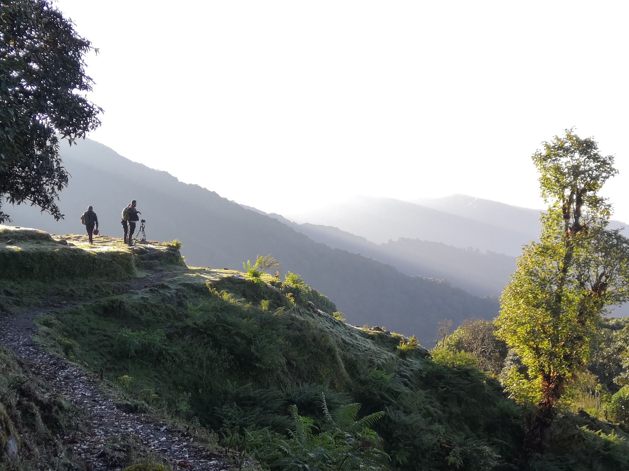 Soaking in some sun between steep forest treks