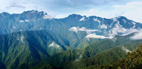 Tatama National Park (Trevor Ellery - Nature Colombia) 