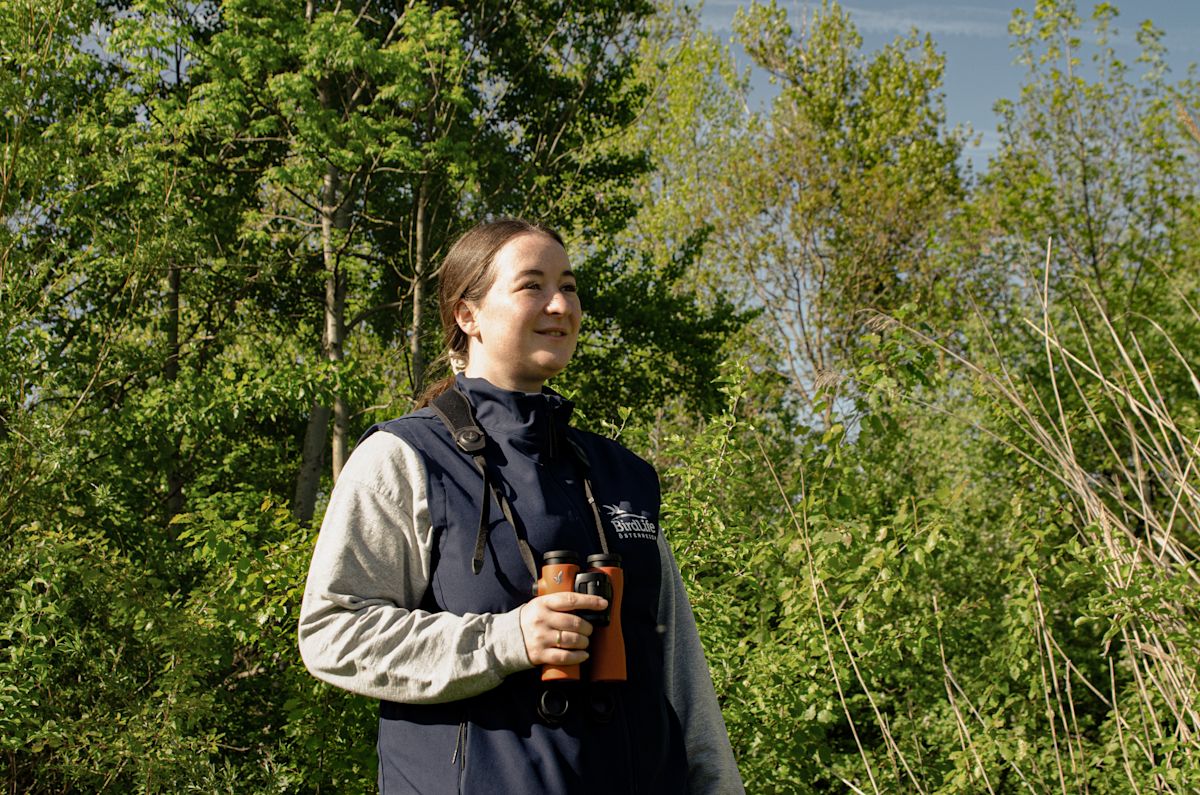 Lisa Lugerbauer Interview – BirdLife AT - B/O HERO