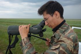 Searching for Sociable Lapwings (c) Paul Donald