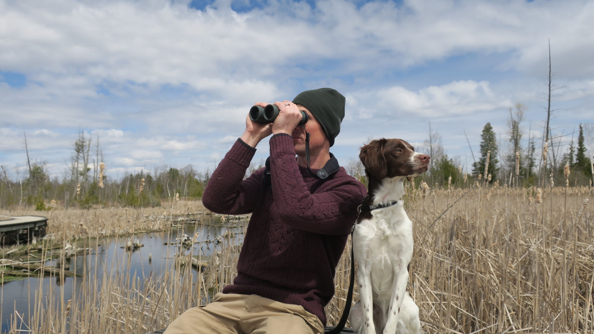 NL Pure James Lees Wetland Birding with dog