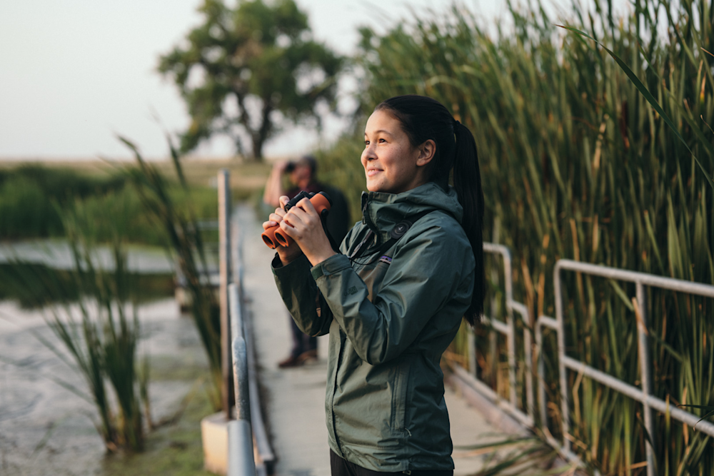 Binoclu Swarovski NL Pure 12x42 portocaliu