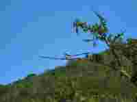 Birdwatching in South Africa.