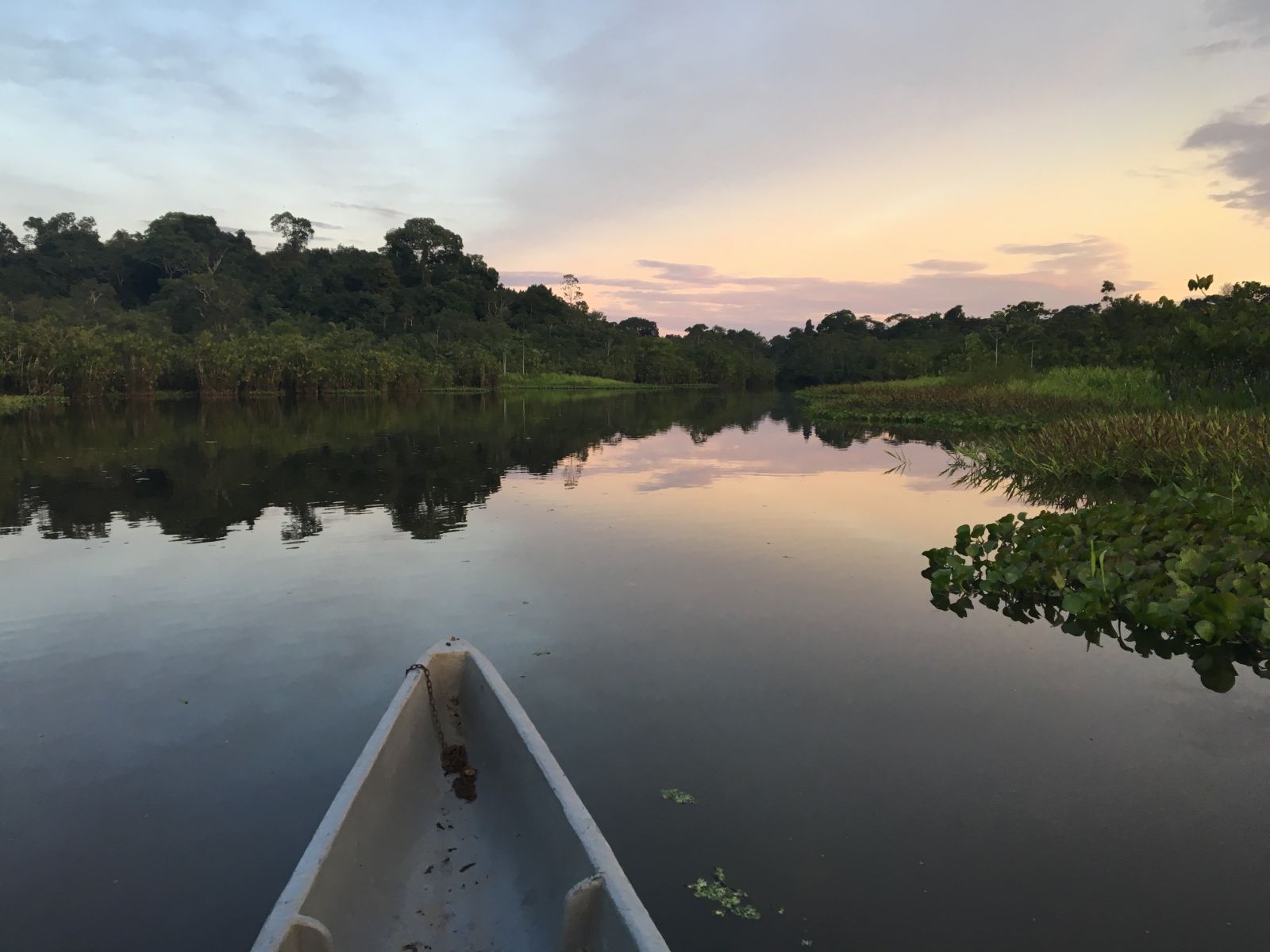 Canoe approach into Sani Lodge Amazon