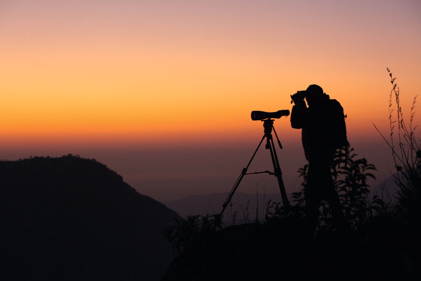Closer Special Design - India - man looking through SWAROVSKI OPTIK NL Pure binoculars sundown 