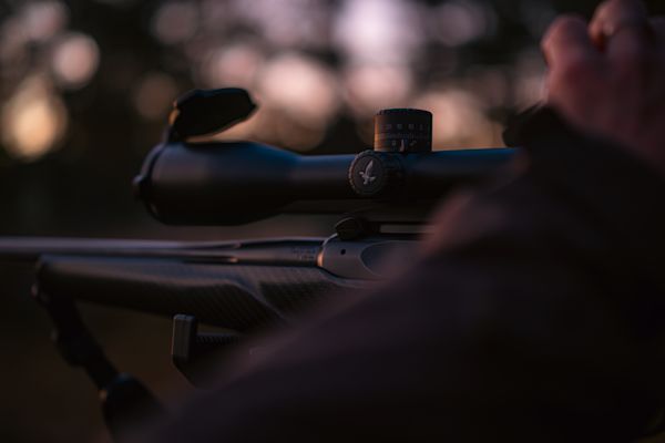 Z6i 2.0 /H - DRIVEN HUNTING - Image 2