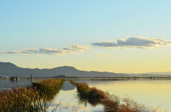 Albufera Nature Park near Valencia, Spain