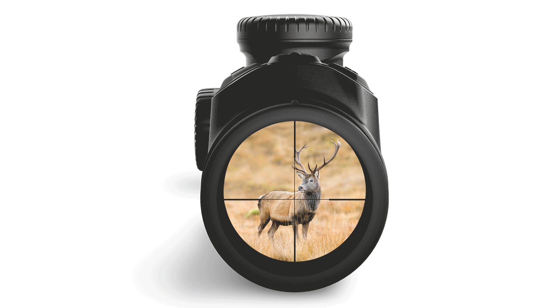 dS III - Absehen Animation