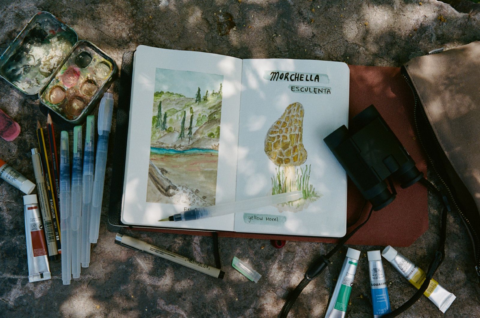 Lapescadora Capturing Nature SONA - B/O