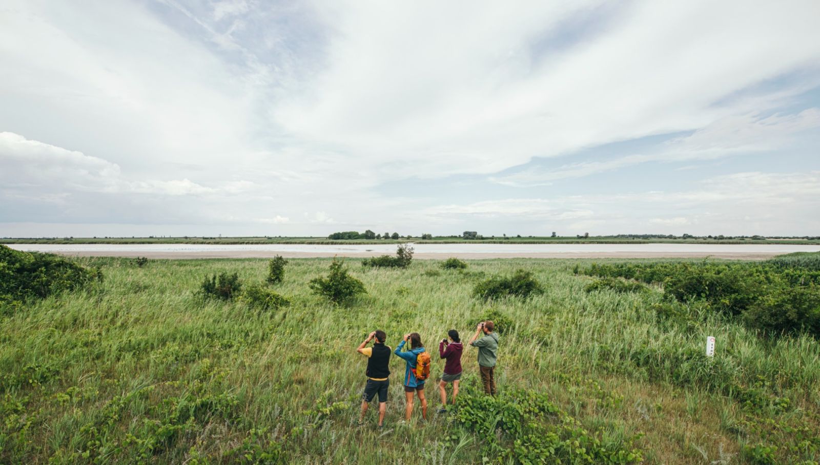 People standing in the field with SWAROVSKI OPTIK binoculars at Neusiedlersee 