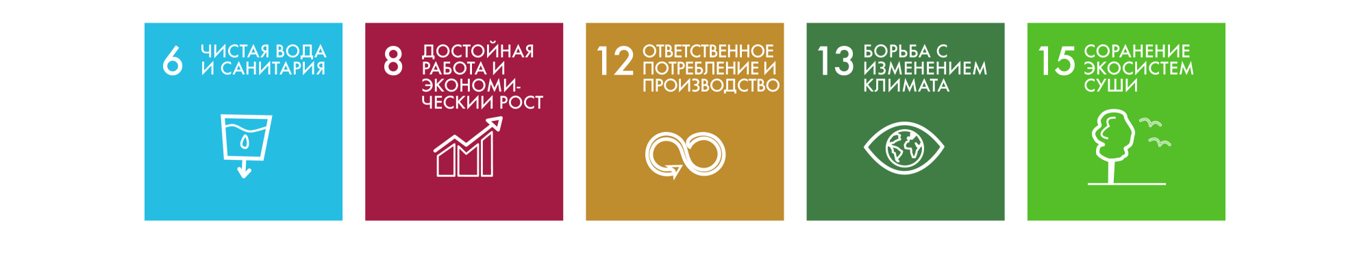 Sustainable Development Goals RU