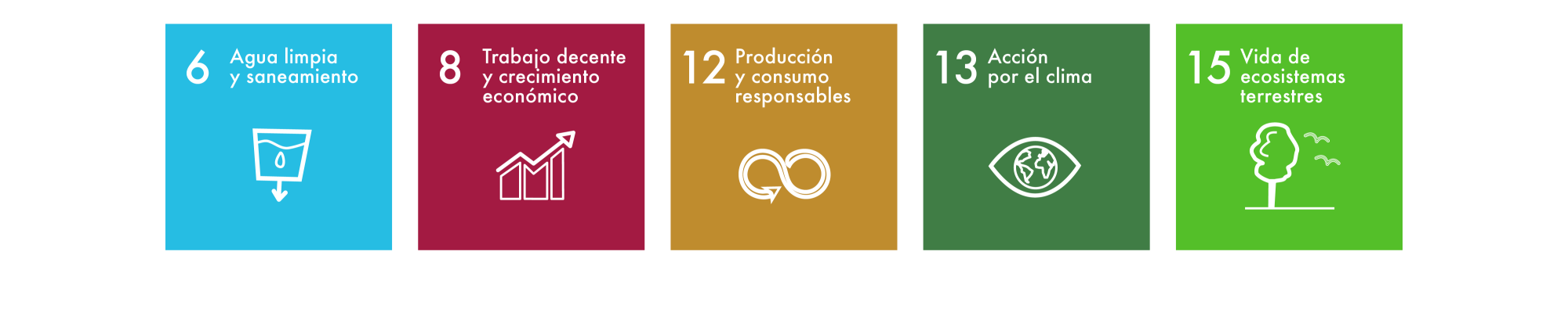 Sustainable Development Goals ES