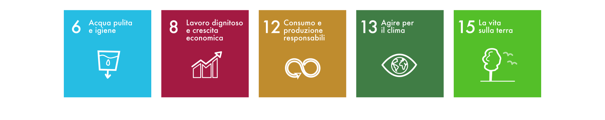 Sustainable Development Goals IT