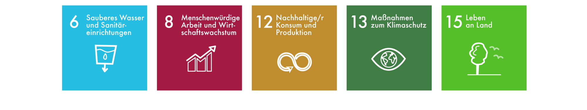 Sustainable Development Goals DE