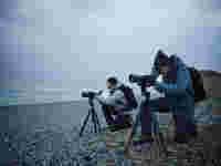 Birding at the coast with the ATX/STX/BTX spotting scopes.
