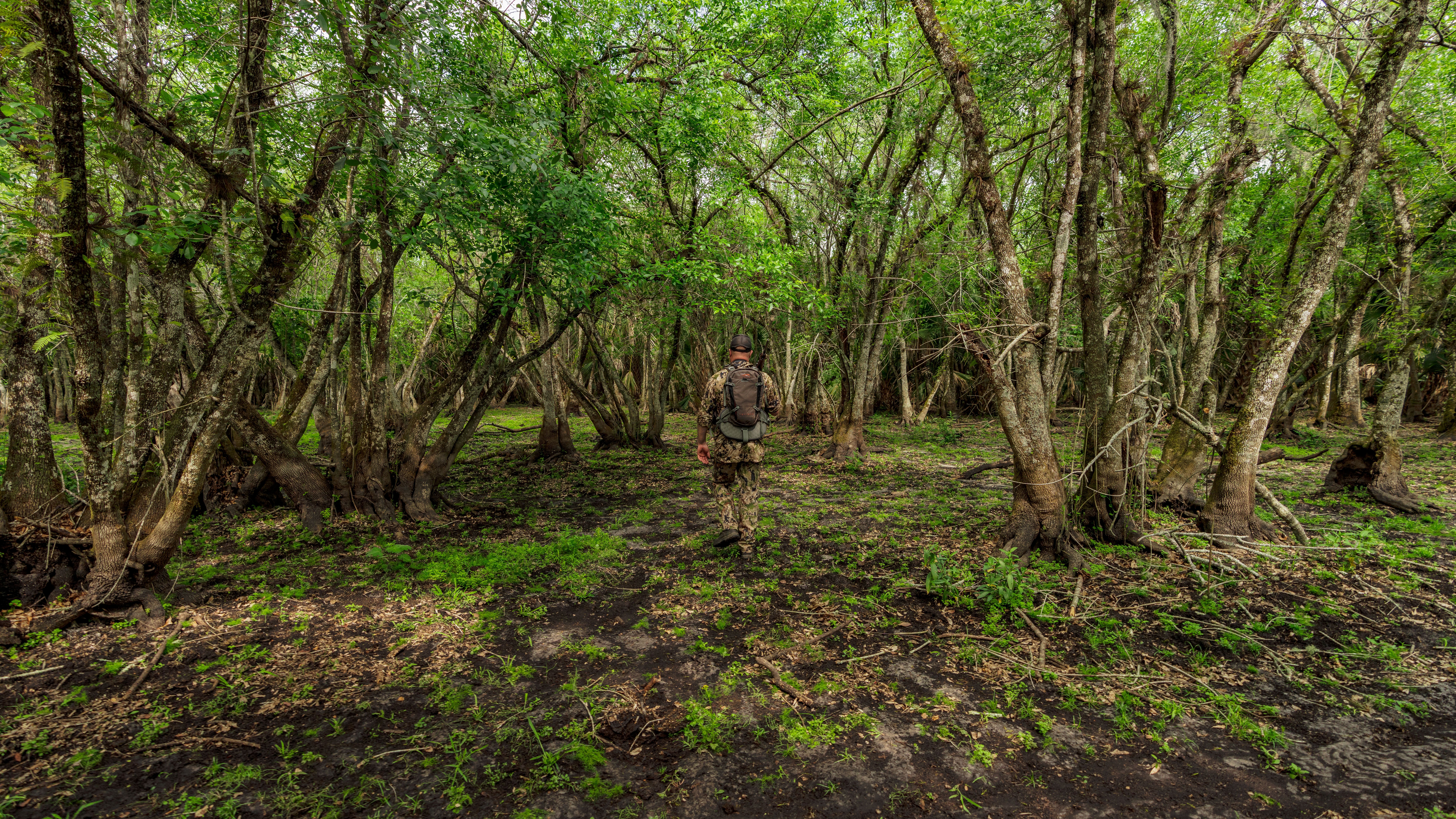 Woods hunting 1