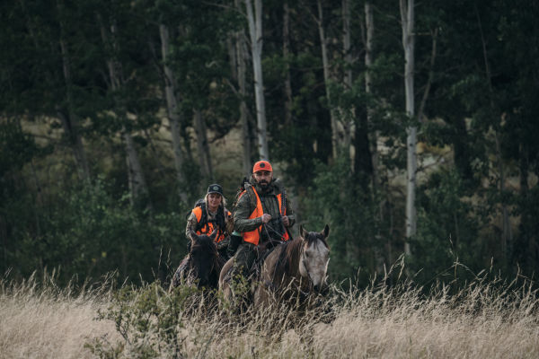 Colorado, USA, man and woman on horses NL Pure 32 DSC4972 ID:1664767