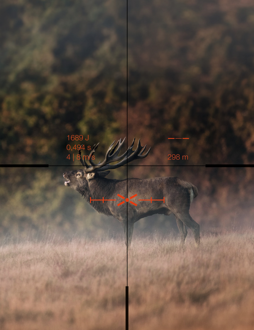 dS Gen II with reticle