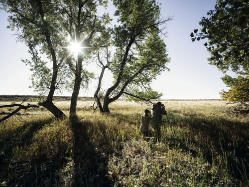 Long range Hunting Z8i