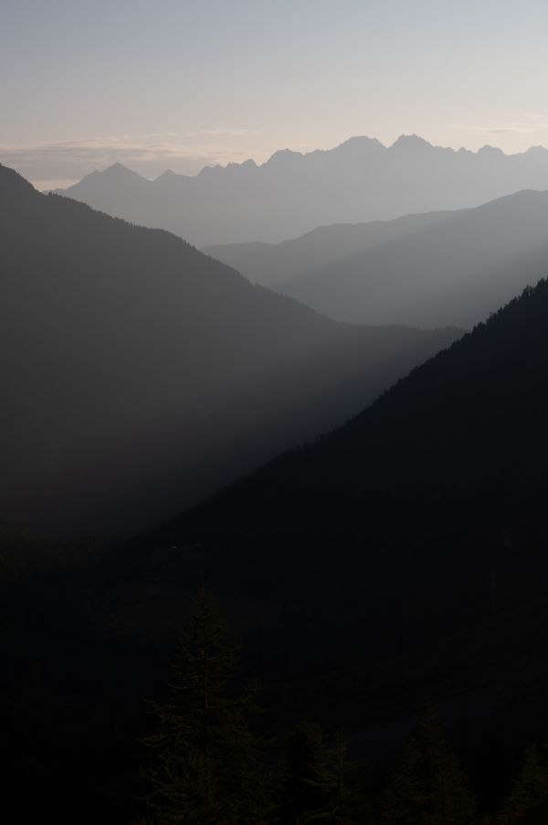 Hunting chamois with the SWAROVSKI OPTIK EL Range TA in the Swiss Alps, landscape mountains low light 