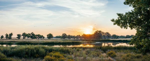 K21 Birding Colorado DSC5802-HDR-Pano web