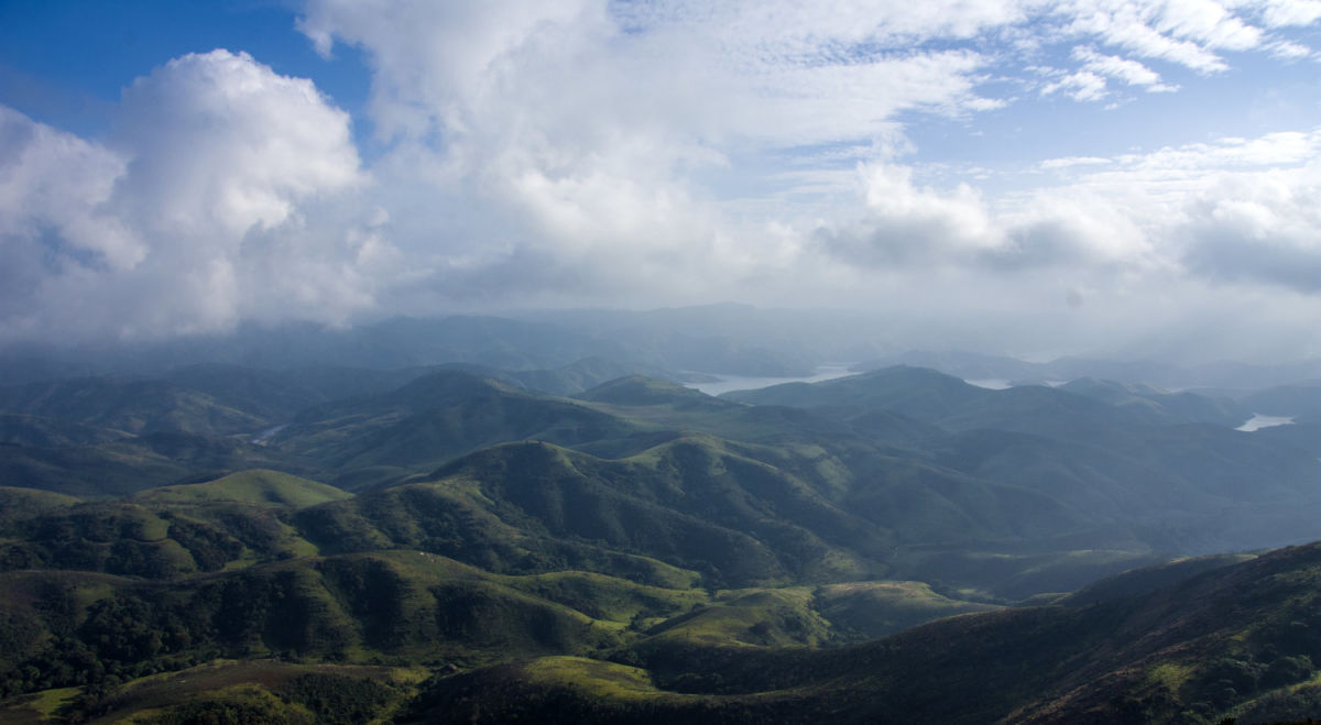 Shola forest mists cling to the hills by Kartiki Gonsalves 