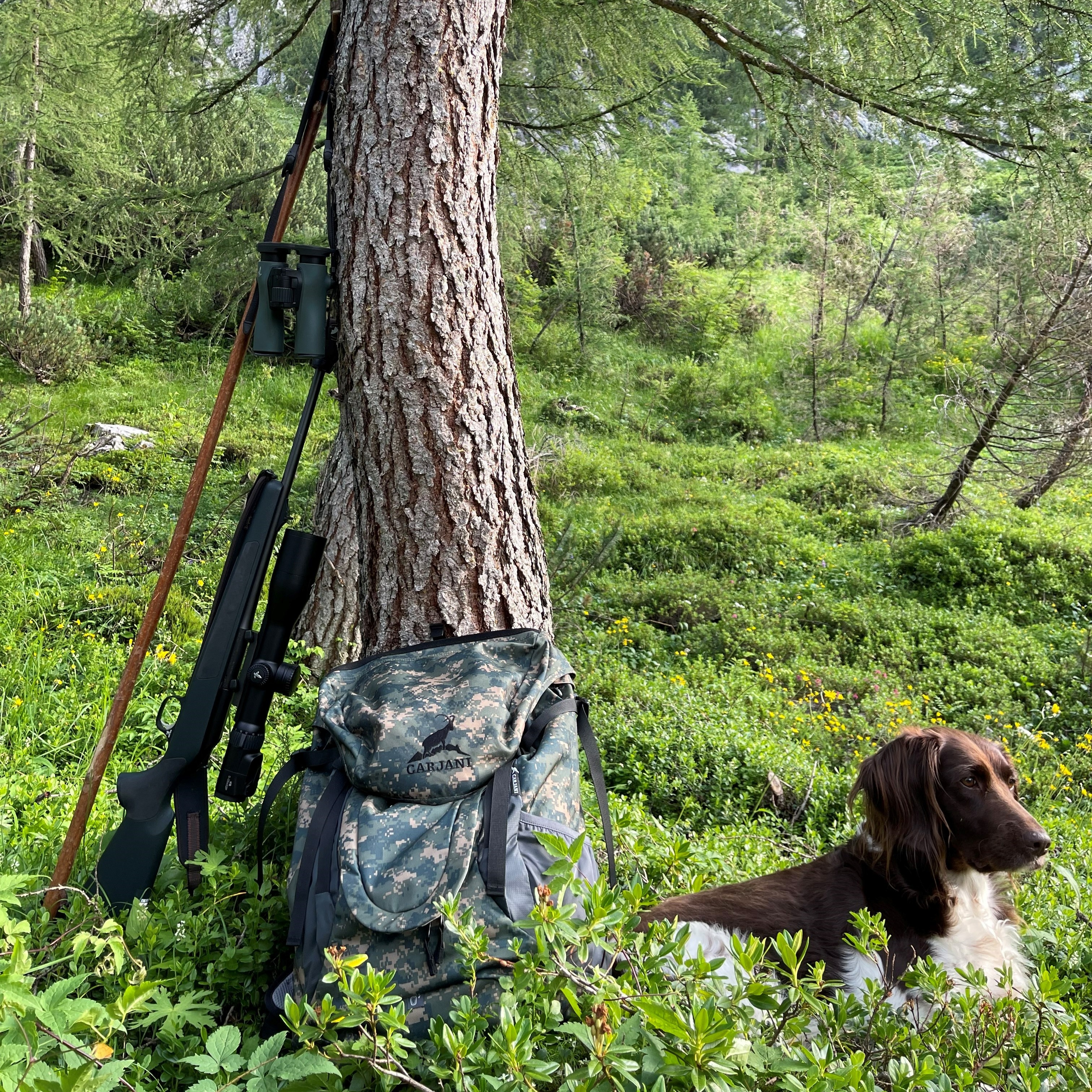 !!!Perfekt vorbereitet für die Bergjagd - dS GEN. II - Thomas Hofer 