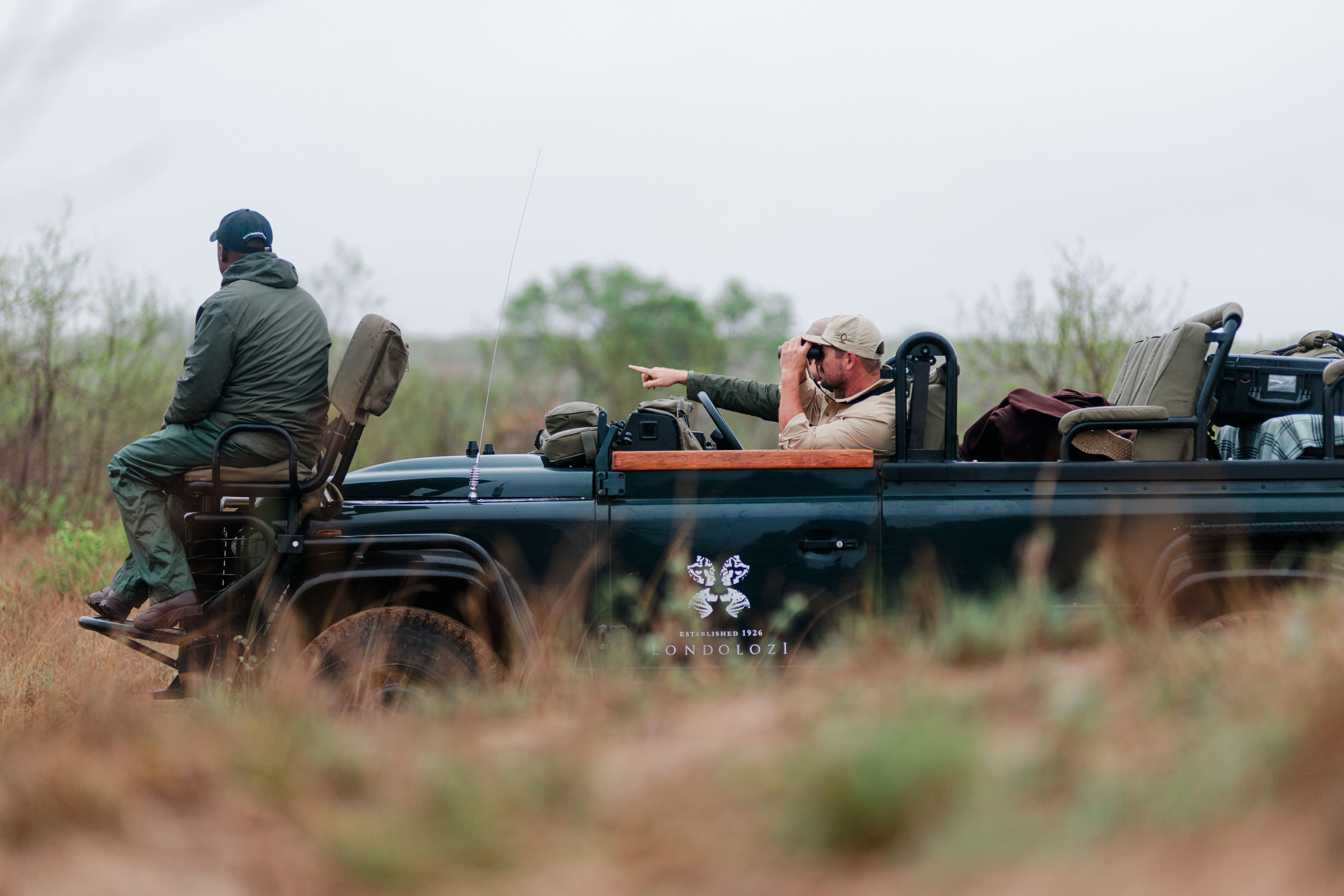 CL Companion 3.0 - H/B/O - Safari advertisement carousel