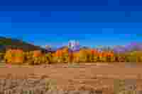 Autumn Campaign 09/2025 - HUNTING SONA