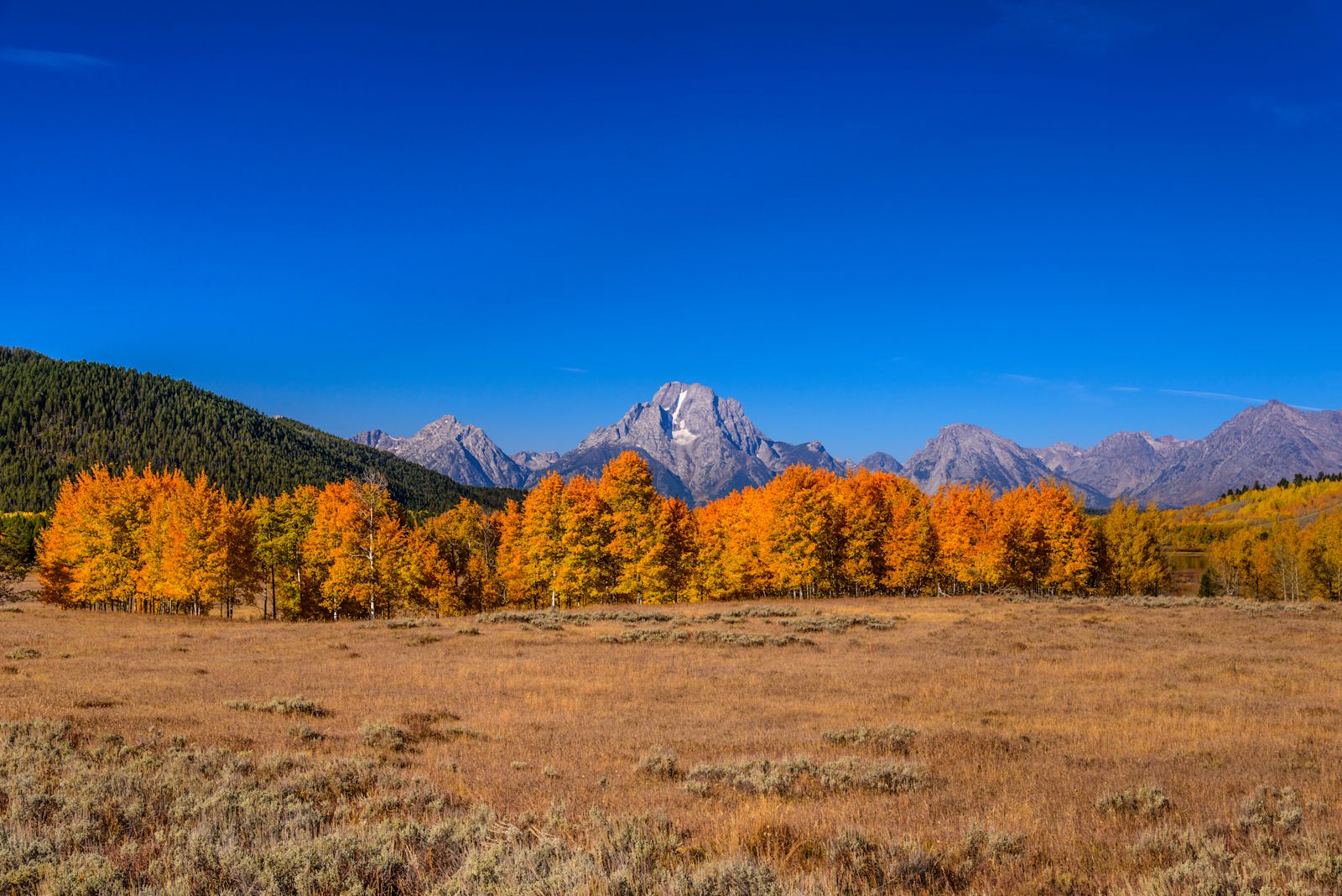 Autumn Campaign 09/2025 - HUNTING SONA