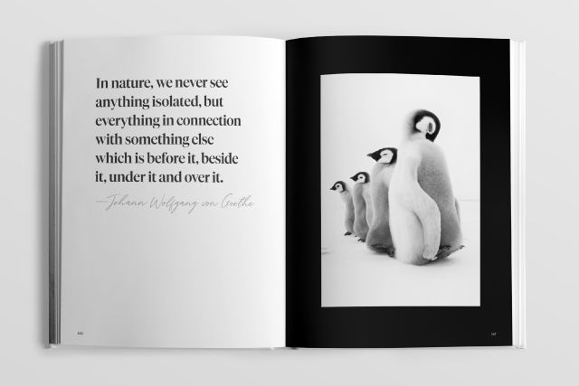 Reconnecting People to Our Planet (HPH) presents an array of thought-provoking words and evocative images from around the world, celebrating the wonders of our Planet while also providing a clear, vital message: “Join the fight to protect our Planet’s biodiversity, or risk losing these natural wonders forever.